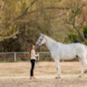 Meet your Posher, Stella